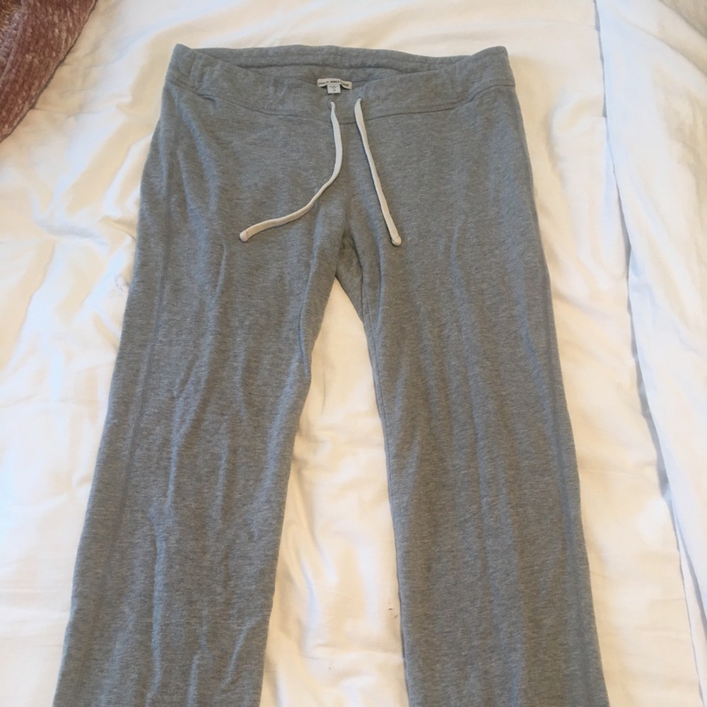 James Perse jogger sweats.